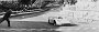 12 Porsche 908 MK03  Joseph Siffert - Brian Redman (43)